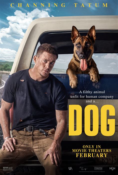 A Comprehensive Look At The Best Dog Movies Of 2023