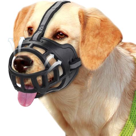 Dog Muzzle Ebay Australia