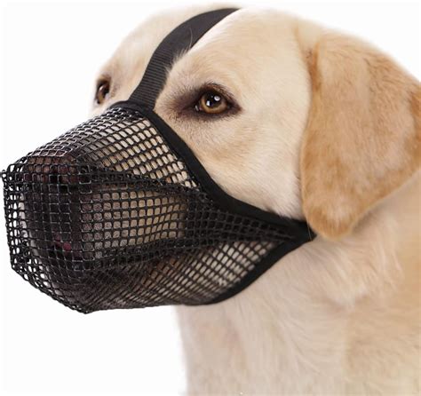 Dog Muzzle For Eating Socks