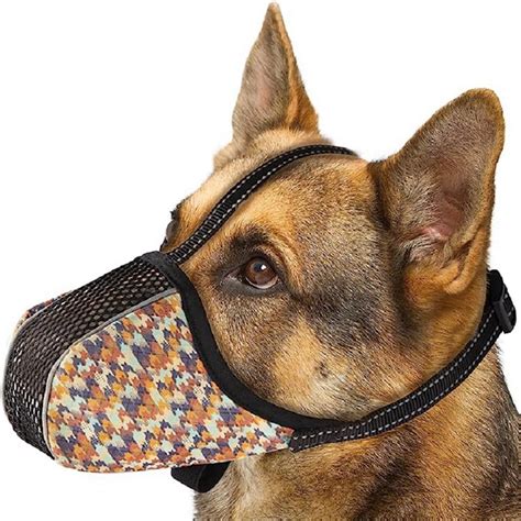 Dog Muzzle Price