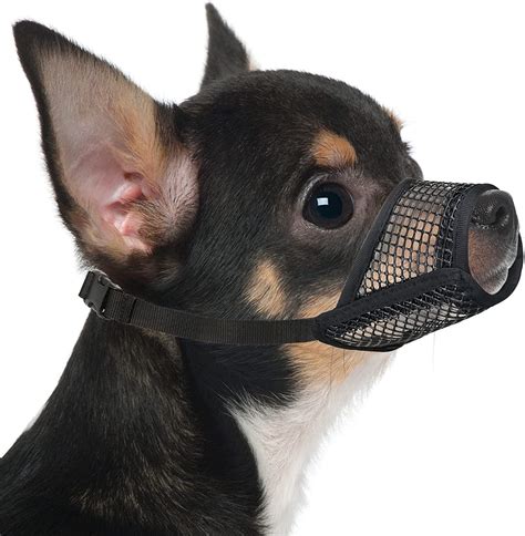 Dog Muzzle Set