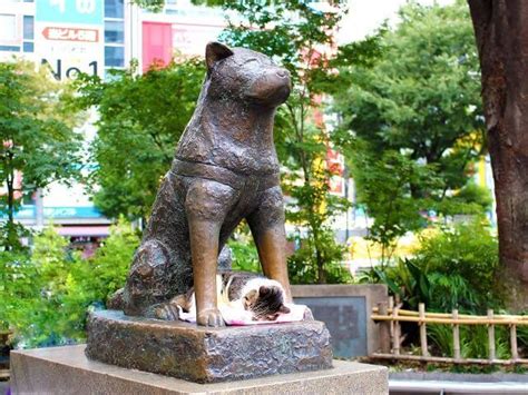 dog named hachiko who waited for 9 years