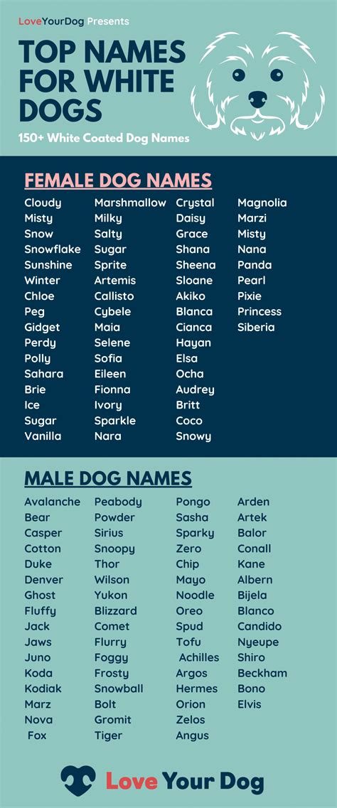 dog names for a white dog