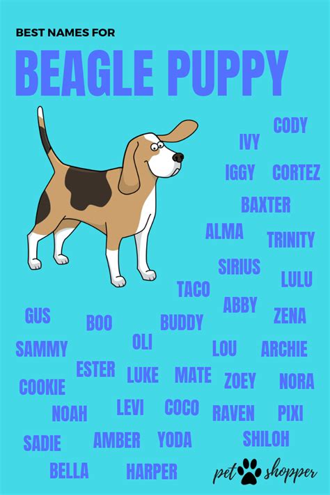 Dog Names for Beagles Female