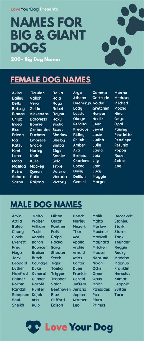 dog names for big female dogs