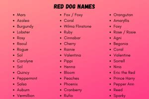 Dog Names for Red Dogs