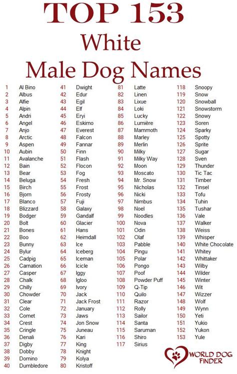 dog names for white male dogs