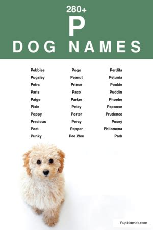 Dog Names Starts with P