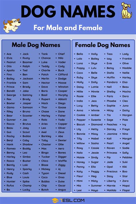 dog names that are not common