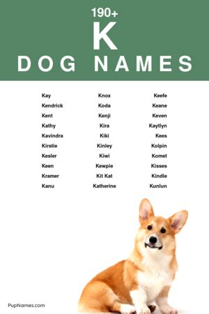 dog names that begin with k