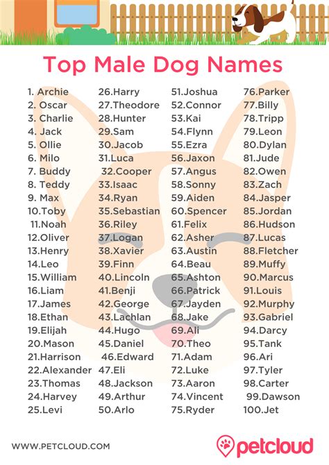 Dog Names That Begin With T