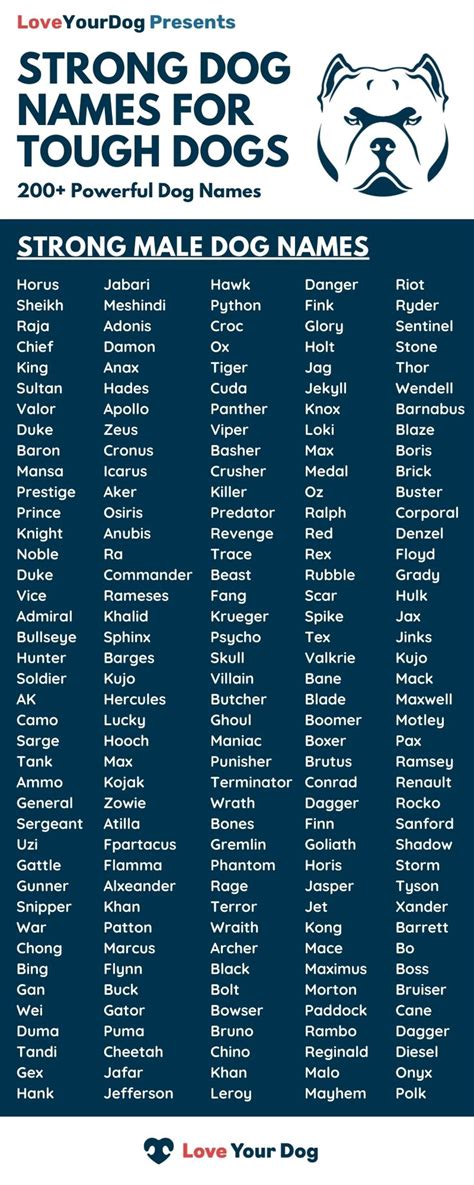 dog names that mean strong