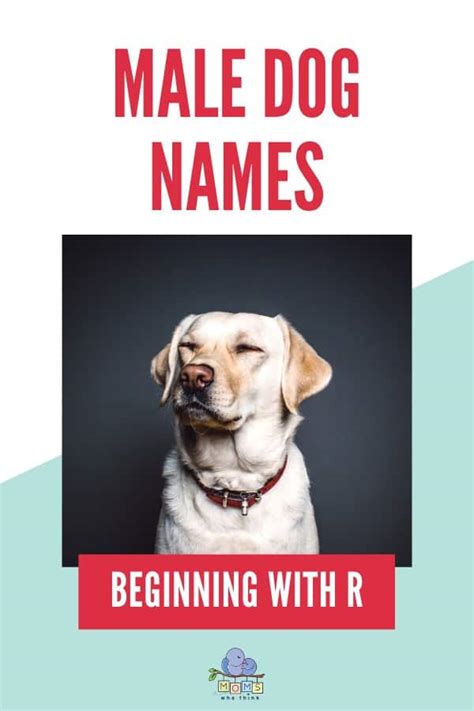 Dog Names with an R