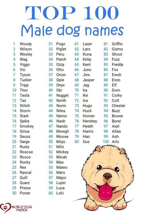 Dog Names with R Male