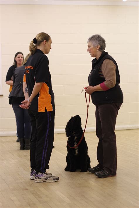 Dog Obedience Classes Olympia