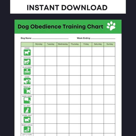 dog obedience training age