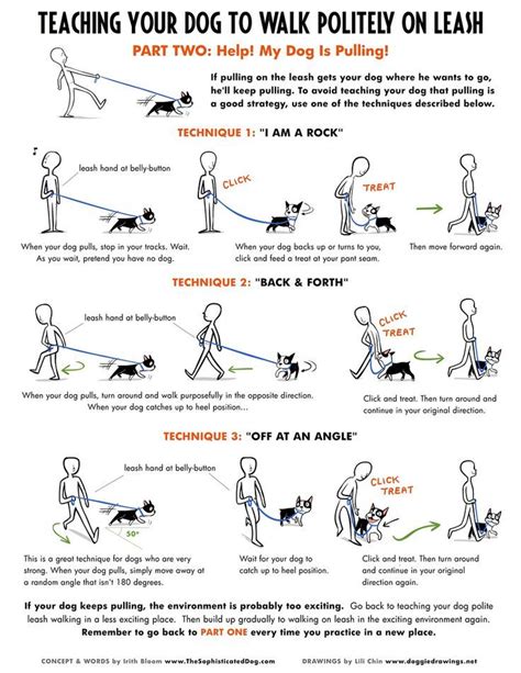 dog obedience training exercises