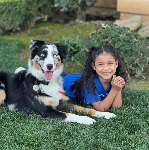 Dog Obedience Training Fresno