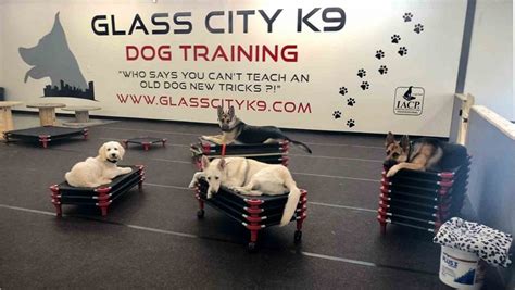 dog obedience training toledo ohio