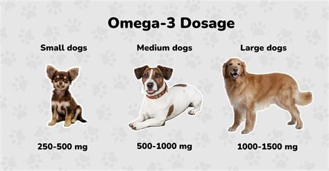 Dog Omega 3 Dosage