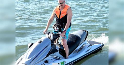 Dog On Jetski