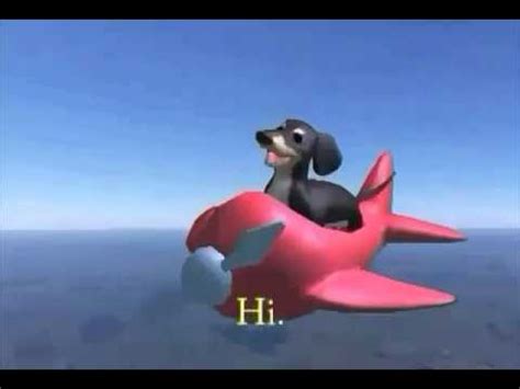 Dog On Plane Extended