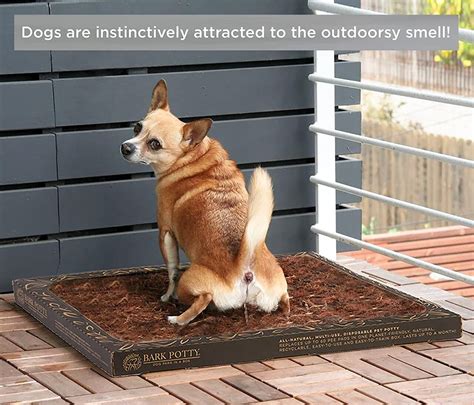 Dog Pads Keep Ripping