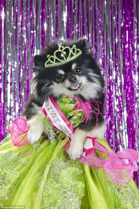 dog pageants near me 2021