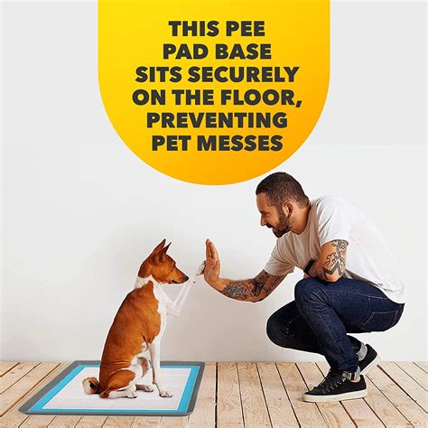 Dog Pee Pads Work