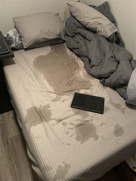 Dog Peed On Bed Reddit