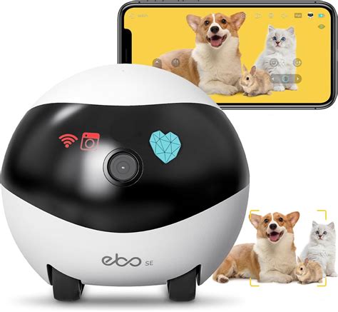 Dog Pet Camera