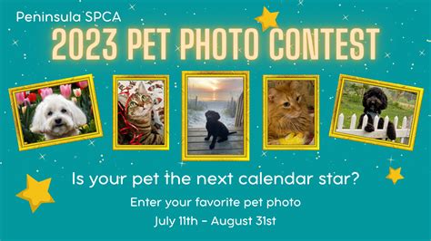 Dog Photography Competition 2023: Get Ready To Capture The Perfect
Canine Moment