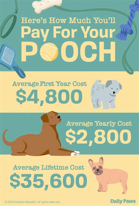Dog Physical Cost