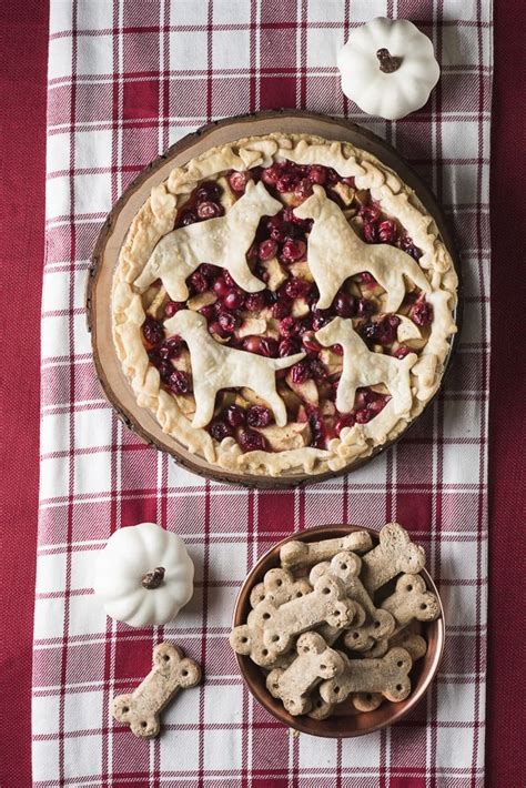 Dog Pie Crust
