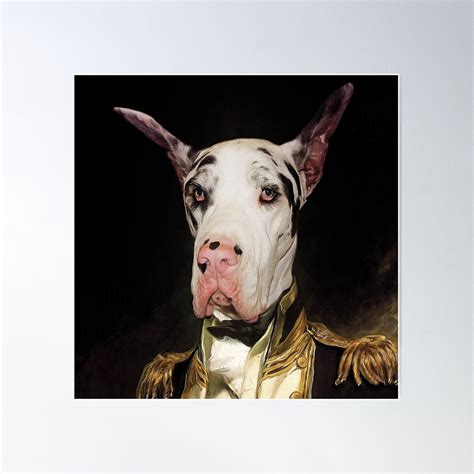 Dog Portrait Poster