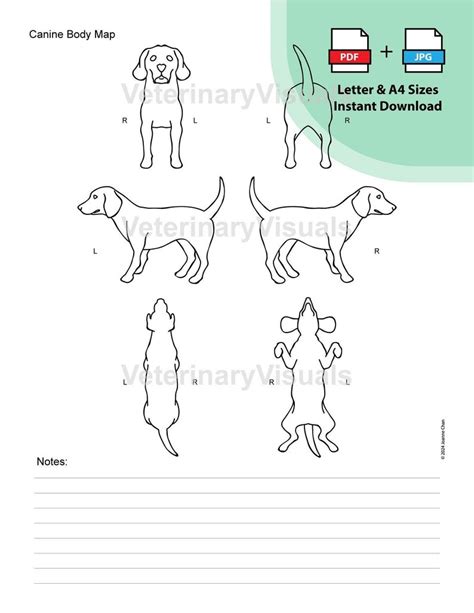 Dog Printable Body Map