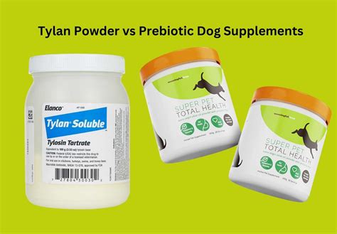 Dog Probiotic Vs Prebiotic