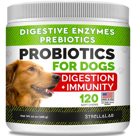 Dog probiotics