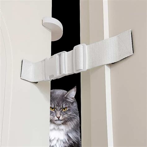 www.enter-tm.com:dog proof door locks