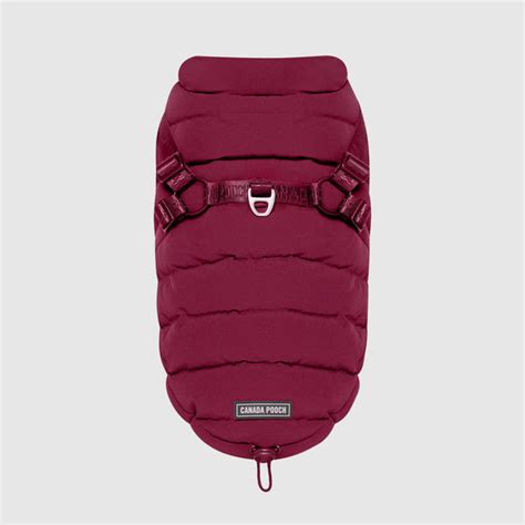 Dog Puffer Jacket Canada