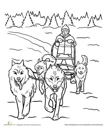 Dog Pulling Sled Coloring Pages