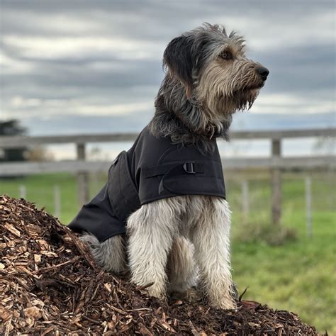 Dog Rain Jacket Nz