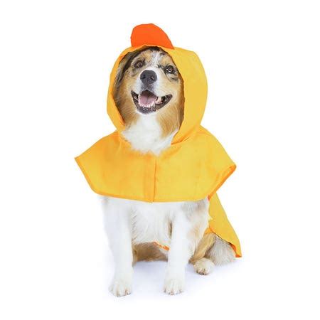 Dog Raincoat Petbarn