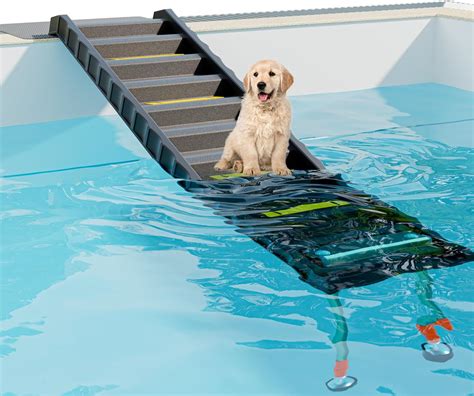 Dog Ramp For.pool