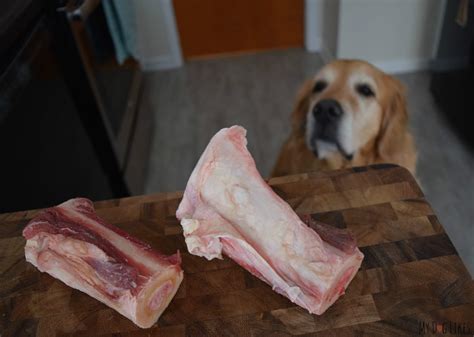 Dog Raw Food Bones