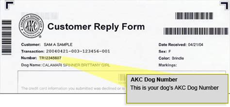 Dog Registration Number Example
