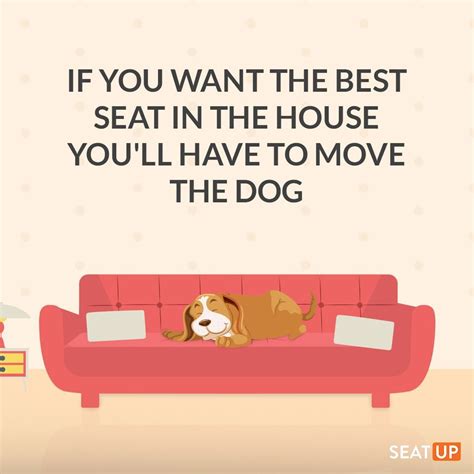 Dog Relax Quotes