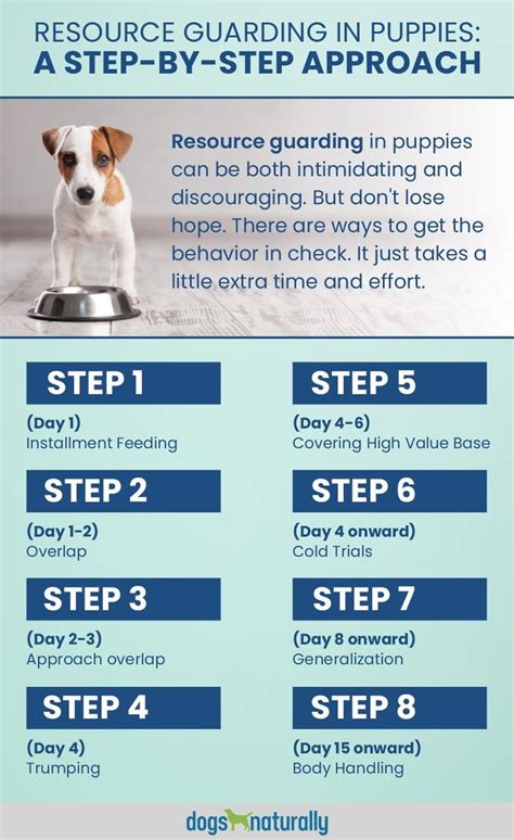 Dog guarding its toys