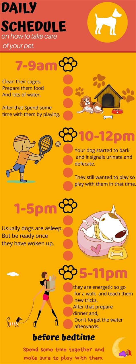 Dog Routine Example