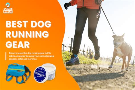 Dog Running Accessories